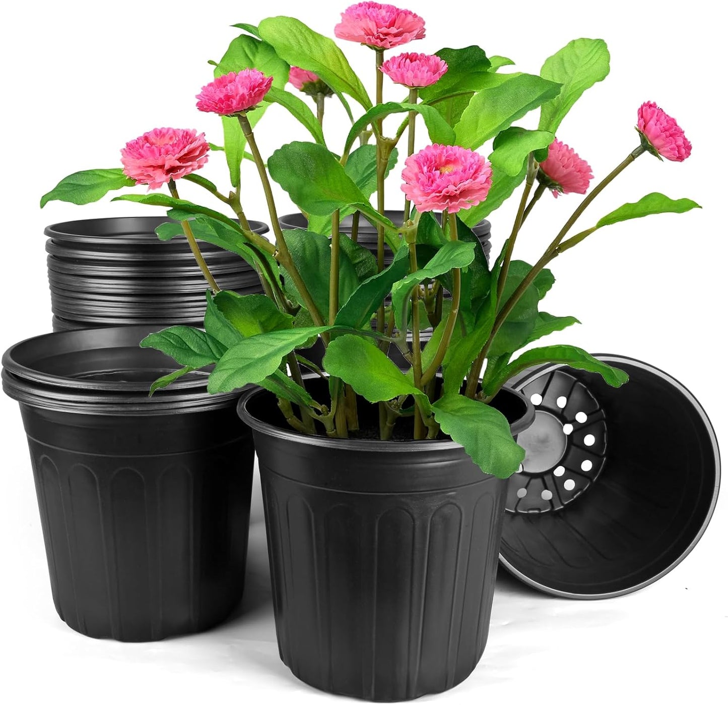 3 Gallon Pots for Plants - Perfect for Seedlings and Transplanting