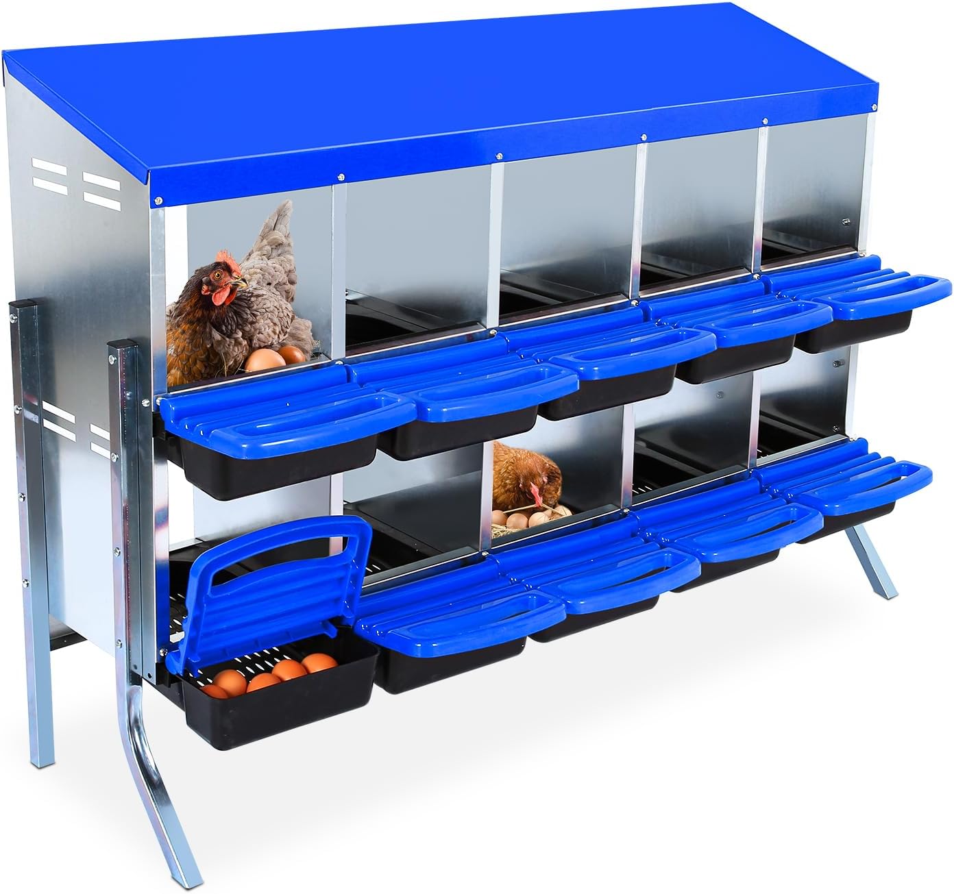 Nesting Boxes for Chickens - Optimized Egg Production Solution