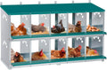 Chicken Nesting Box 10 Compartment Metal Nesting Boxes - Durable Green