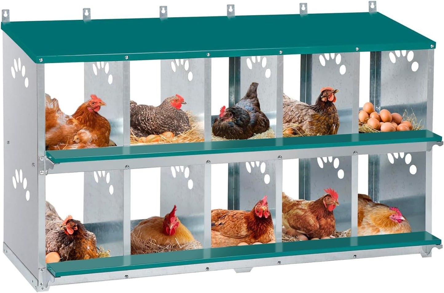 Chicken Nesting Box with 10 Compartments for Easy Egg Collection