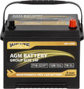 Weize Platinum AGM Battery Group 24F - 710CCA, 36-Month Warranty
