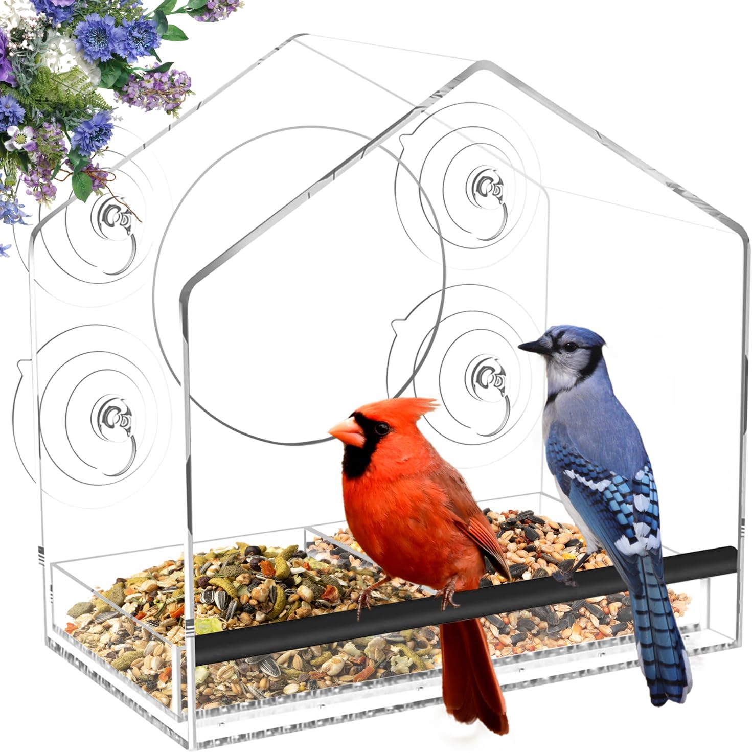 Clear Acrylic Bird Feeder - Large Capacity, Easy Clean