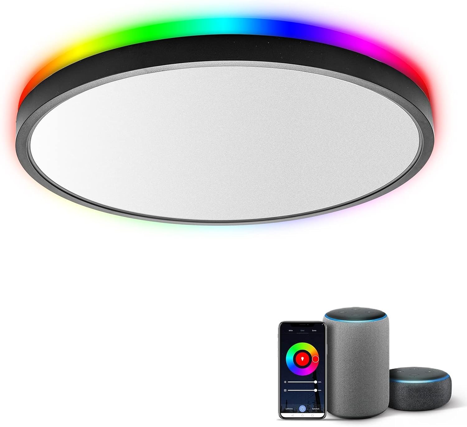 TALOYA Smart Ceiling Light Flush Mount LED WiFi for Home Use