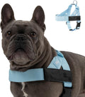 DF Co. Dog Harness Size M - Comfortable, Chafe Resistant Walk Harness