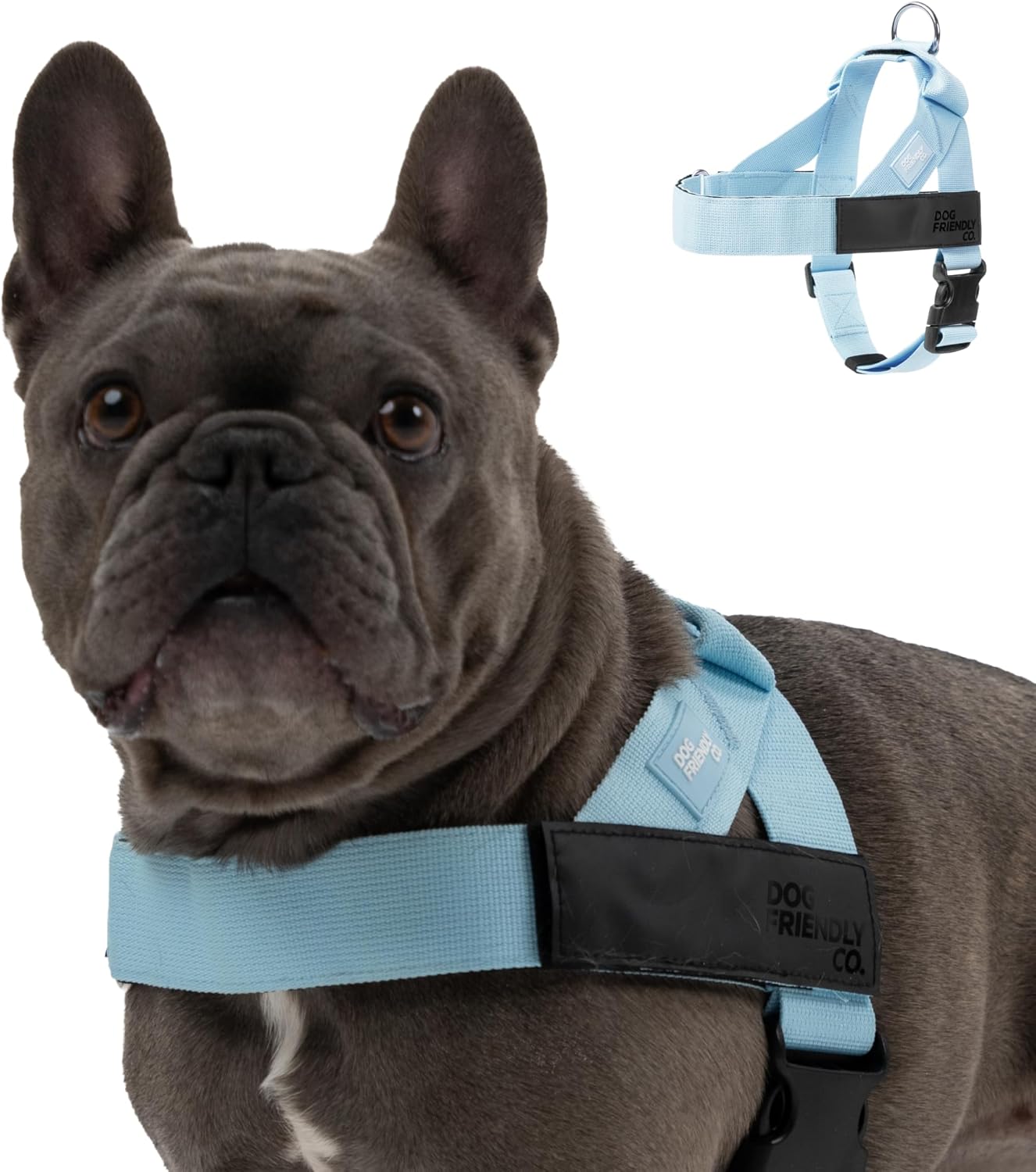 DF Co. Dog Harness - Adjustable, Comfortable, and Sturdy Design