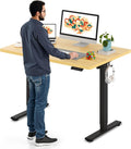 Electric Standing Desk 48 x 30 in Whole-Piece Desktop - Adjustable