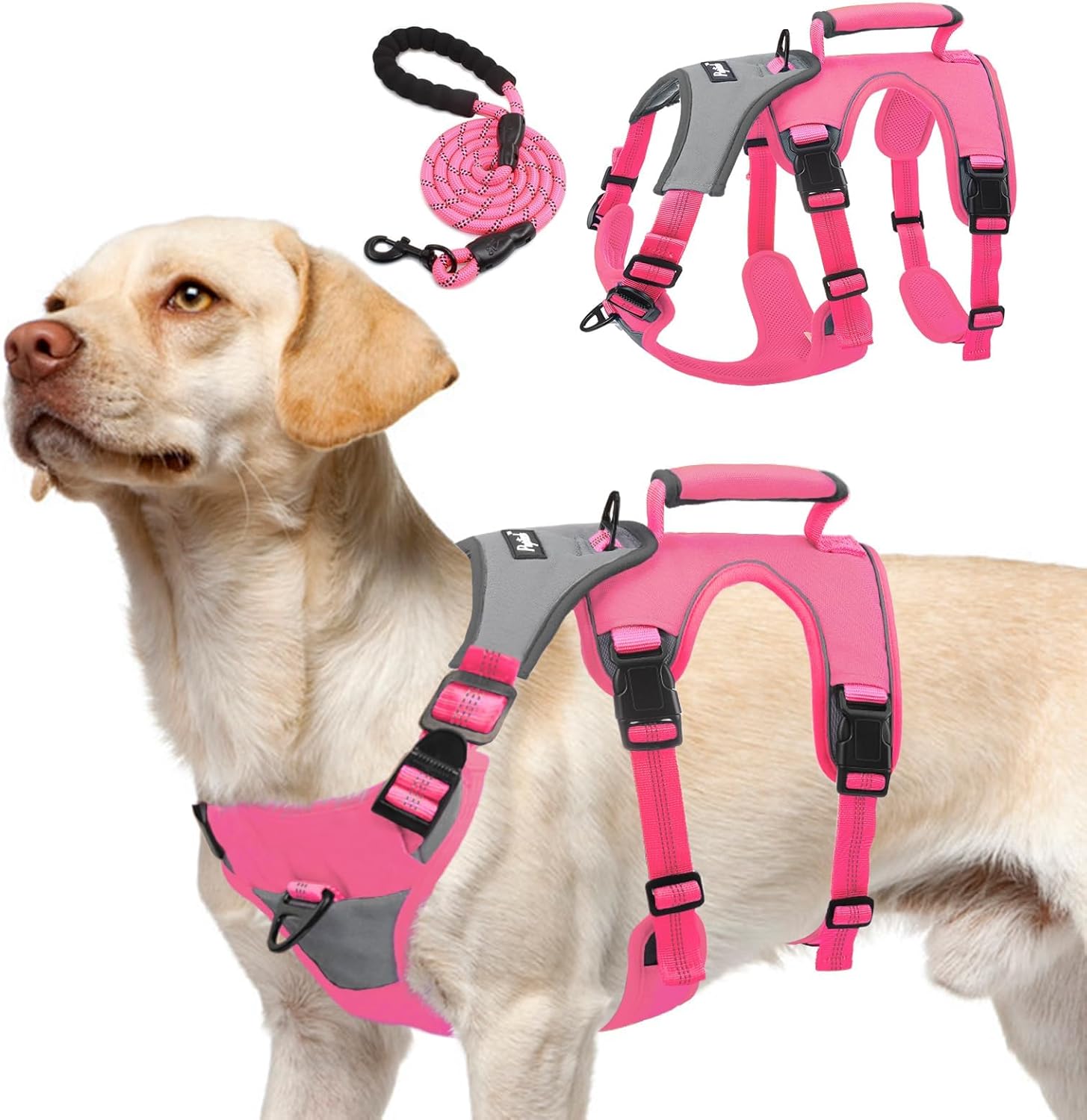 Escape Proof Dog Harness and Leash Set for Medium Large Dogs