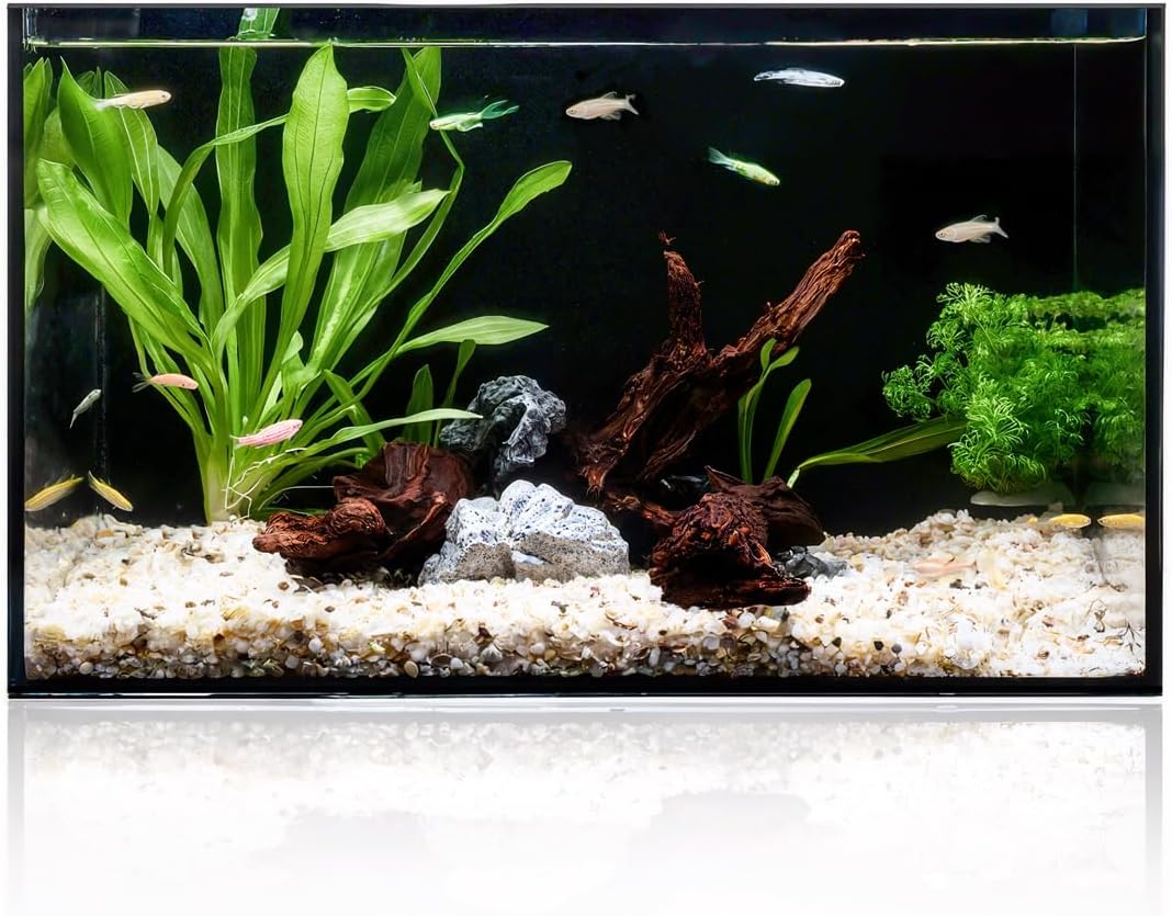 5 Gallon Clear Glass Fish Tank for Betta, Goldfish, and More
