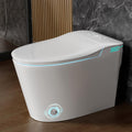 Smart Toilet with Bidet Built in One Piece Bidet Toilet - Modern