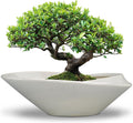18 Inch Ceramic Bonsai Planter Pot with Drainage Hole - Modern Gray