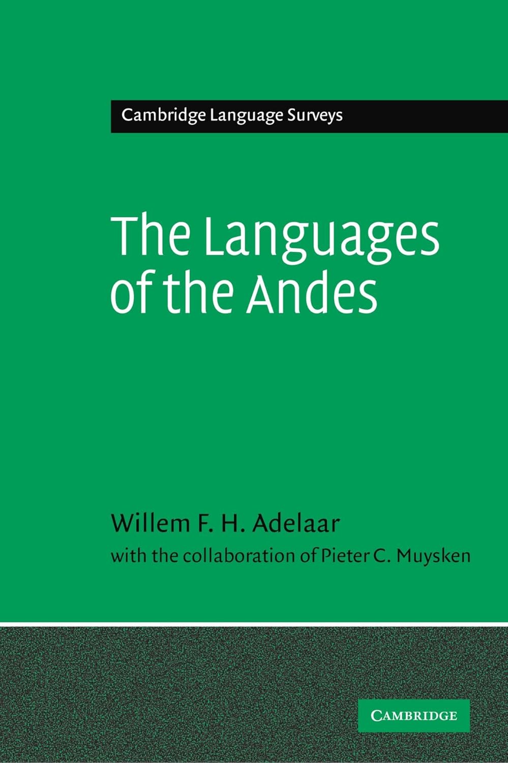 The Languages of the Andes: A Comprehensive Survey of Linguistics