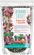 Premium Organic Succulent Potting Mix for Healthy Indoor Plants