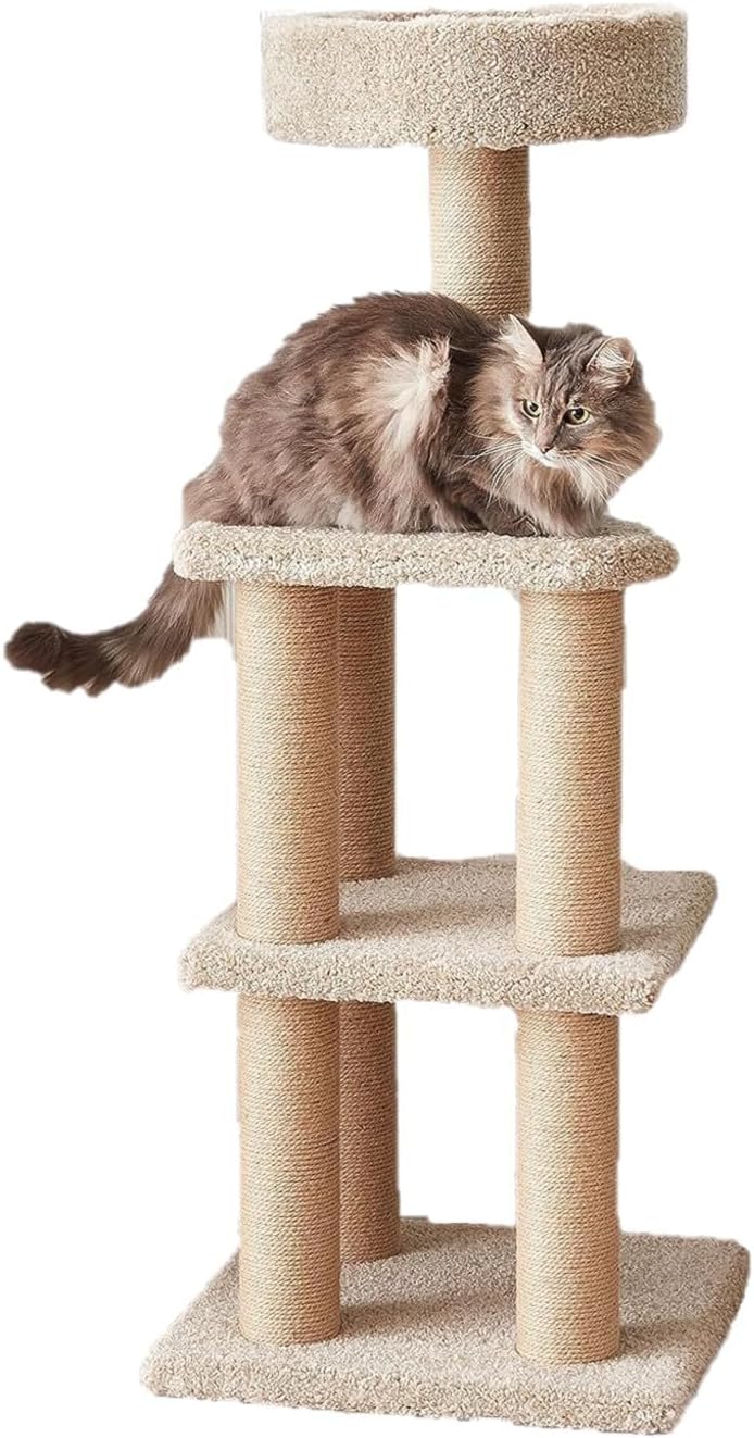 Indoor Cat Tree for Playtime and Scratching - Multi-Level Tower