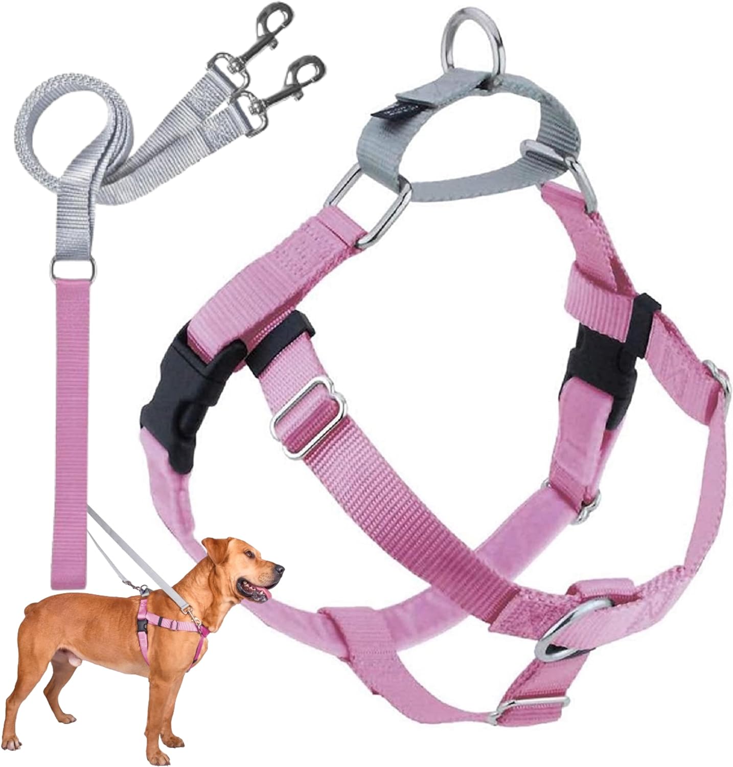 Freedom No Pull Dog Harness for Easy Walking & Control