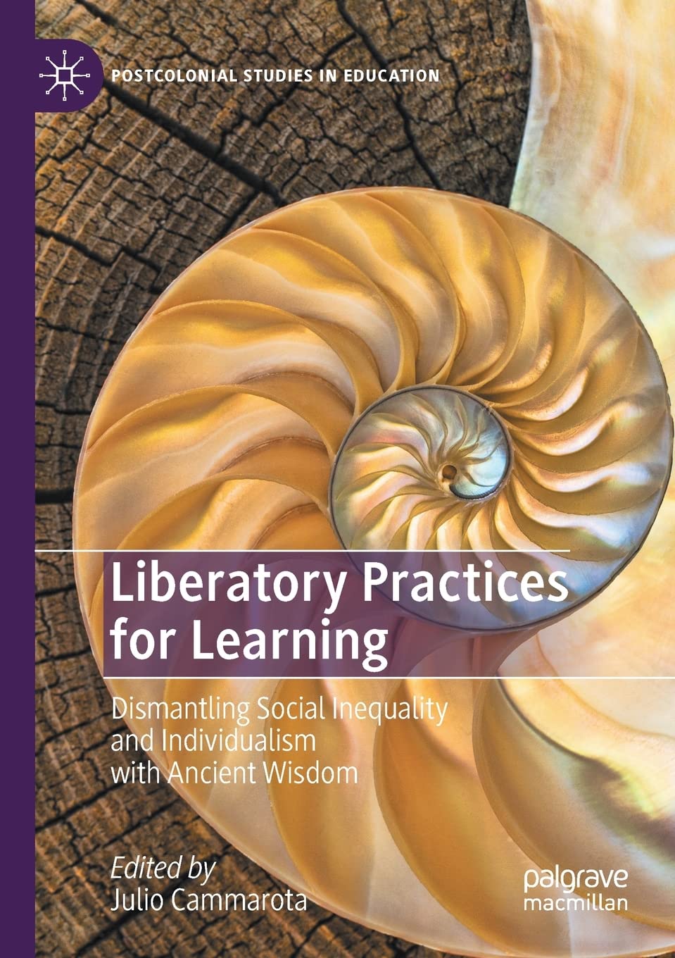 Liberatory Practices for Learning: Dismantling Social Inequality