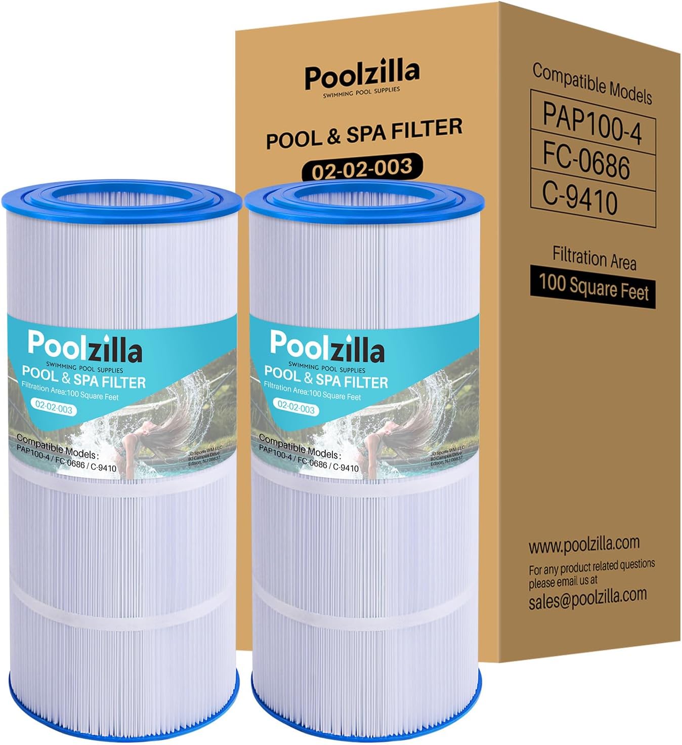 Poolzilla Replacement Filter for Pentair CC100 and More