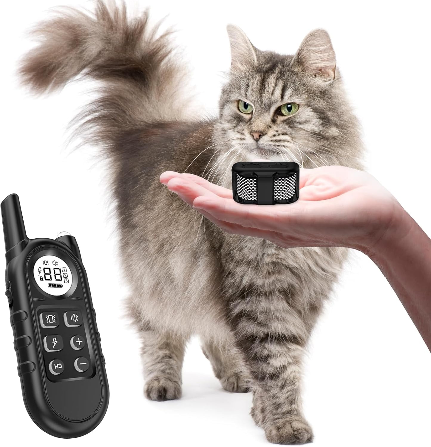 Tiniest Cat Shock Collar for Training Small to Large Cats