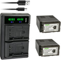 Kastar 2-Pack VW-VBG6 Battery and LTD2 USB Charger for Panasonic