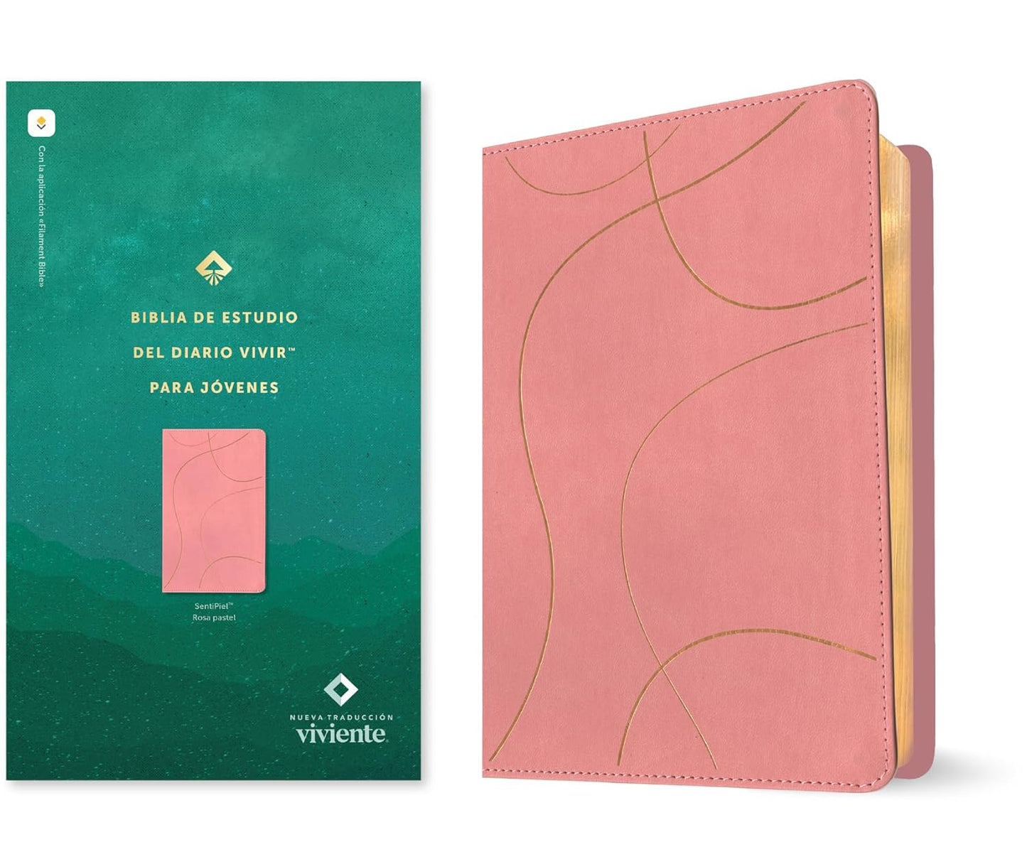 Biblia de estudio del diario vivir para jovenes NTV con Filament