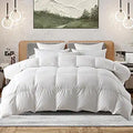 Sweetcrispy Down Comforter Queen Size - Fluffy All-Season Duvet Insert