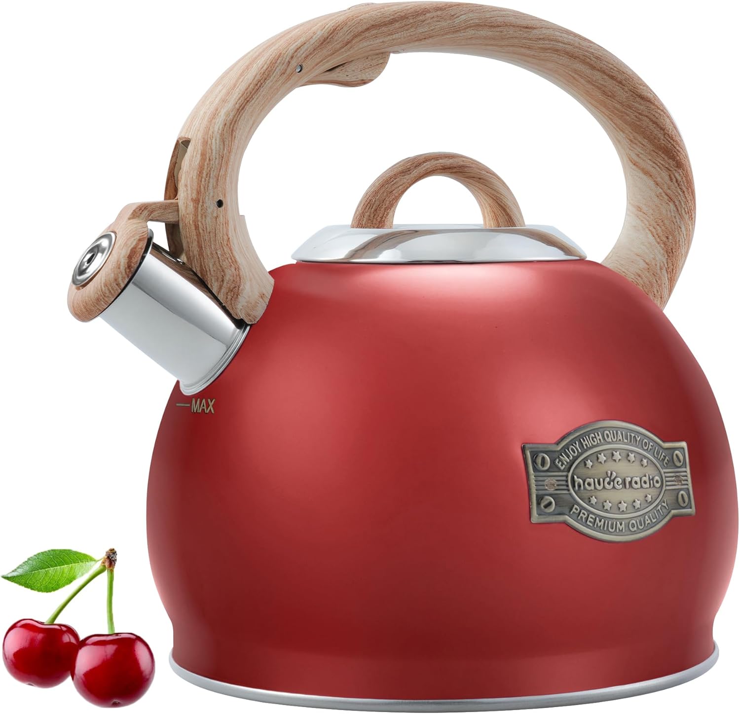 2.7 Quart Stainless Steel Tea Kettle for Stovetop Use