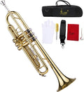 Trumpet Bb B Flat Brass Trompetas Instrumento with Mouthpiece