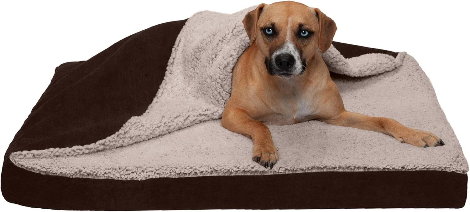 Furhaven Memory Foam Dog Bed for Large Dogs with Blanket Top