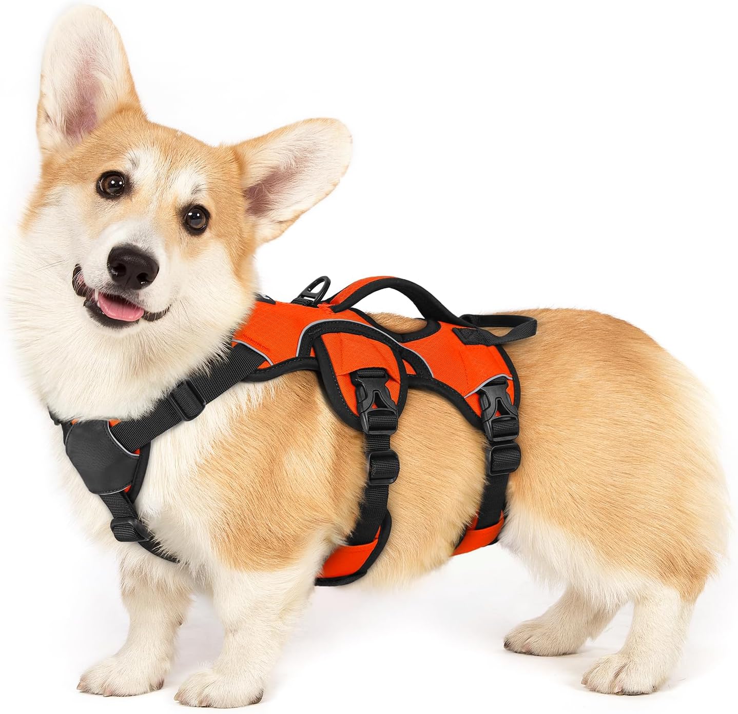 Escape Proof Dog Harness for Large Dogs by rabbitgoo - Orange