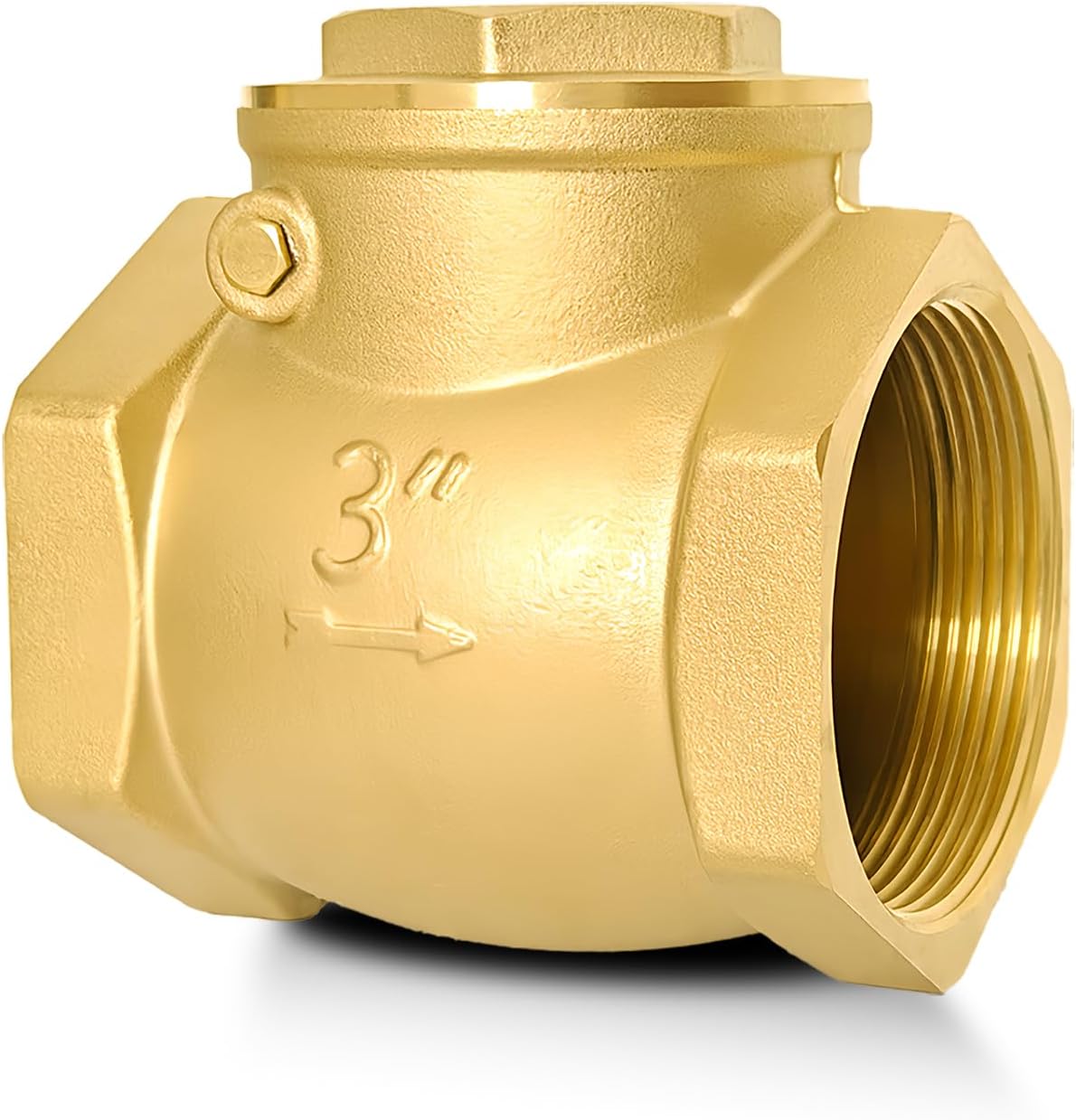 3in NPT Horizontal Check Valve for One Way Flow Control