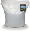 Kentucky 31 K31 Tall Fescue Grass Seed - Durable and Hardy
