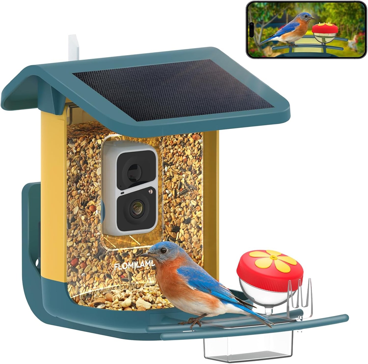 Smart Bird Feeder: AI Identification, Solar Powered, 2K Live View & Night Vision