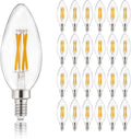 E12 Candelabra LED Bulbs 24-Pack - Vintage Edison Warmlight