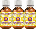 Pure Oregano Essential Oil Steam Distilled 100ml x3 - Therapeutic