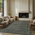 Vintage Area Rugs 5x7 for Living Room and Office Spaces