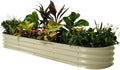 Vego Garden Raised Garden Bed Kits for Versatile Planting Options