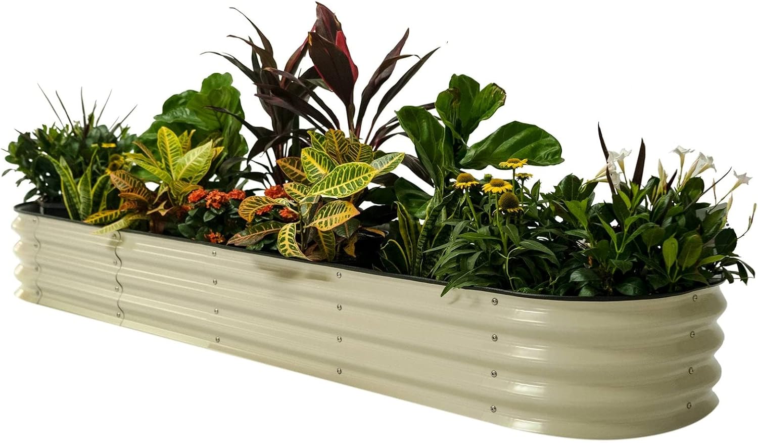 Vego Garden Raised Garden Bed Kits for Versatile Planting Options