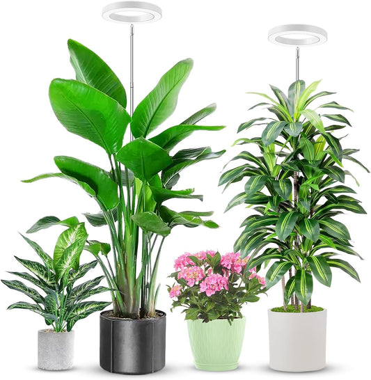 Grow Lights for Indoor Plants with Adjustable Height and Timer