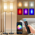 FRIDEKO HOME 2 Pack Floor Lamps for Living Room - Dimmable, RGB Mood