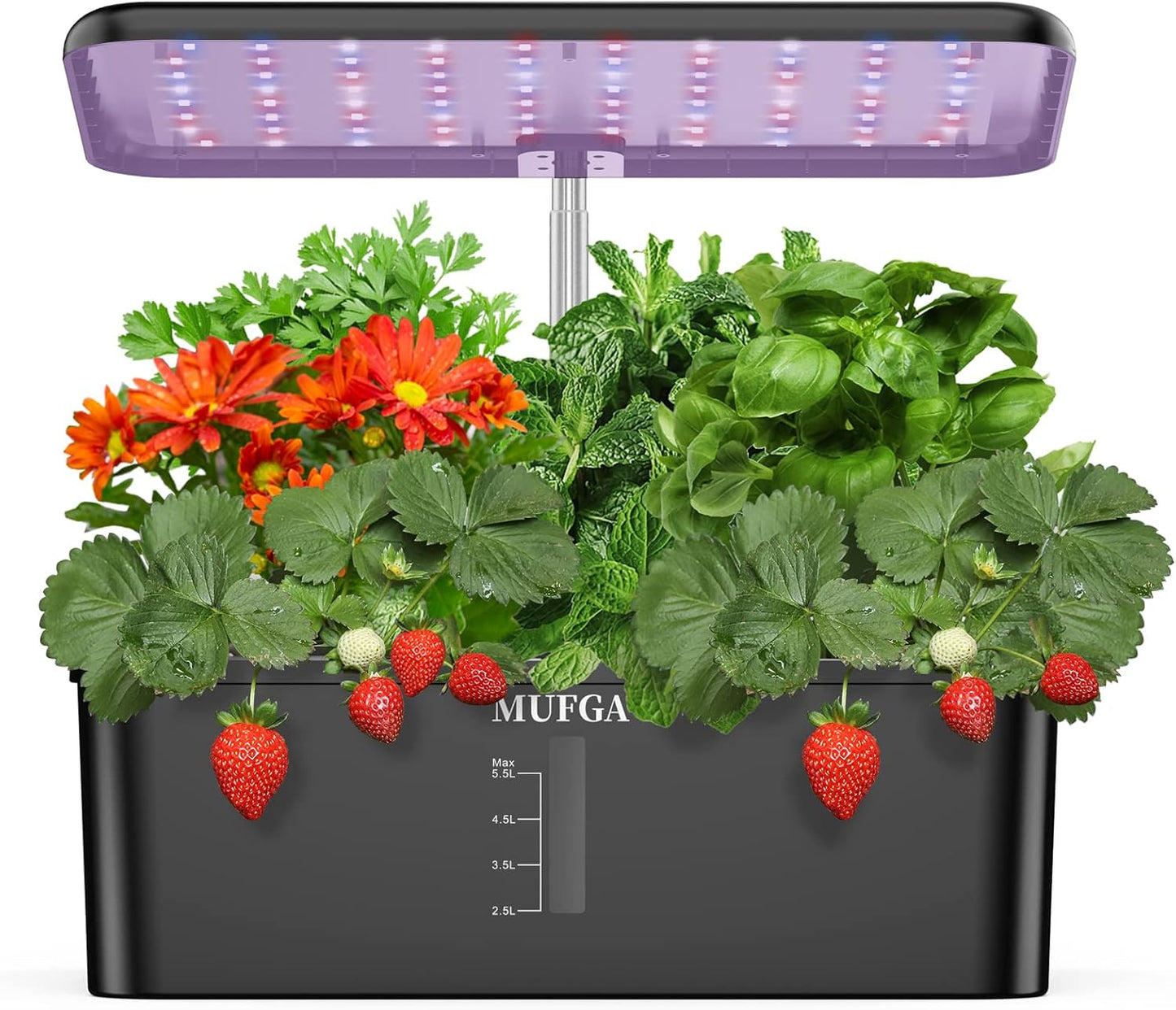 MUFGA Hydroponics Growing System for Indoor Gardening