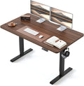 BANTI 48 24 in Standing Desk - Electric Height Adjustable Sit-Stand