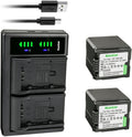 Kastar 2-Pack VW-VBG260 Battery and LTD2 USB Charger - Dual Charge