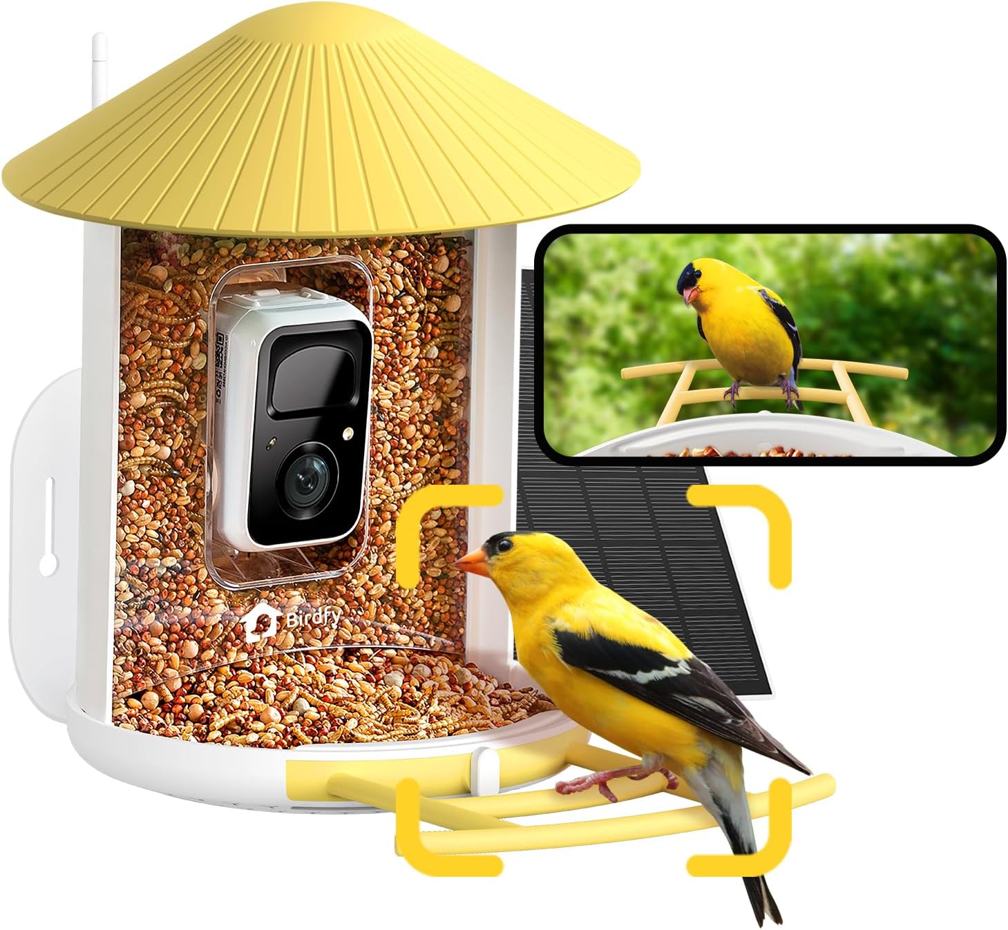 NETVUE Smart Bird Feeder with Camera for Backyard Birdwatching