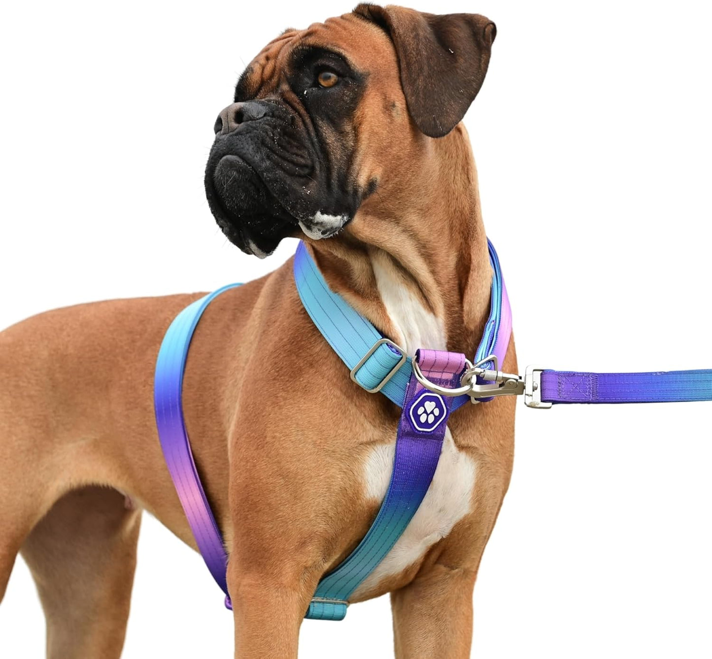 Spark Paws No Pull Dog Harness for Large Dogs - Heavy Duty Design