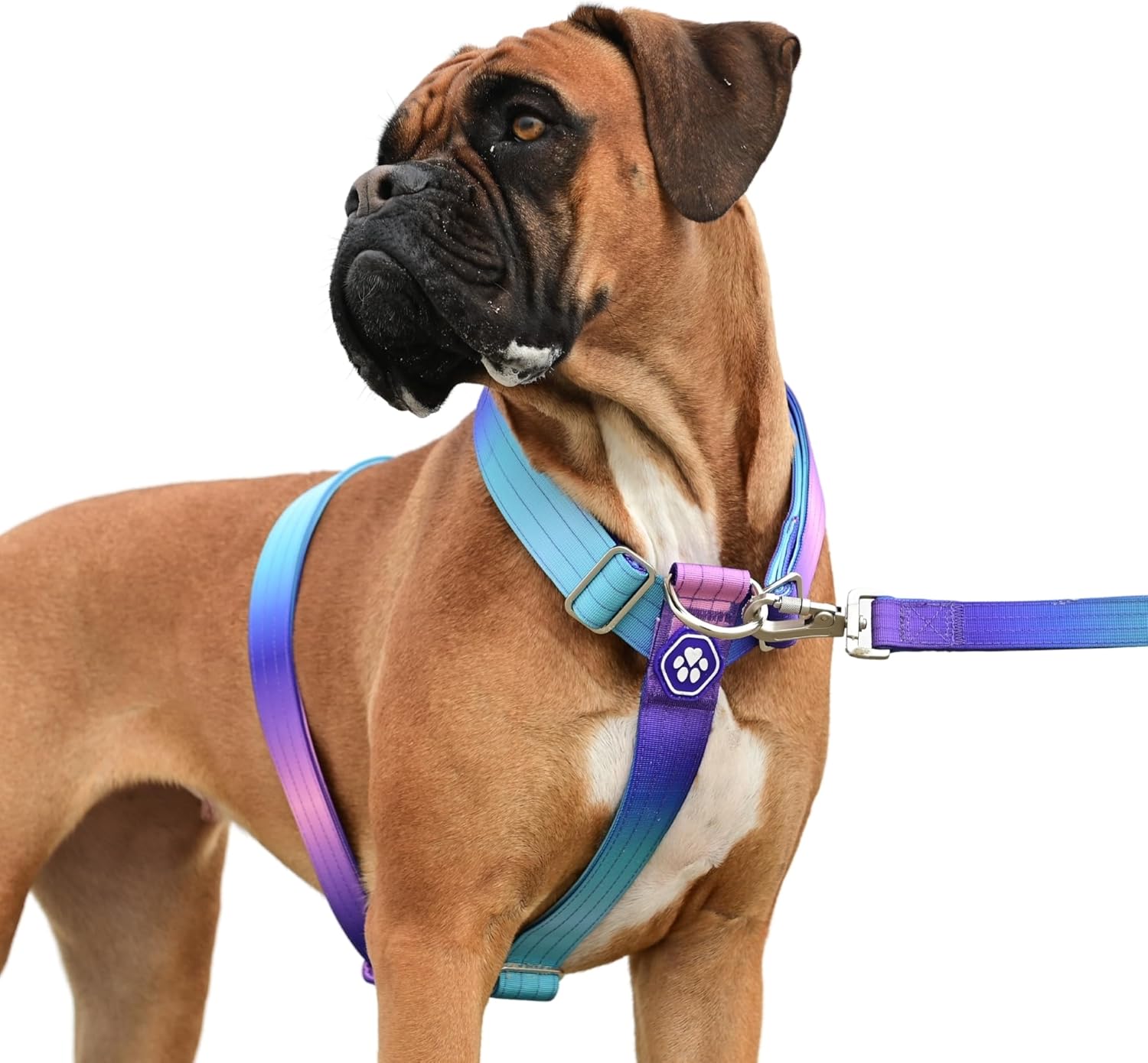 Spark Paws No Pull Dog Harness for Large Dogs - Heavy Duty Design