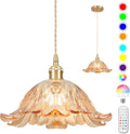 Battery Operated Pendant Light Amber Chandelier RGB Bulb