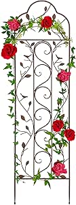 Elegant 60x15in Iron Garden Trellis for Climbing Plants