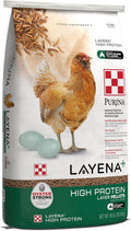 Purina Layena High Protein Layer Chicken Feed (40 Pound)