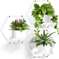 3 Packs Wall Planters for Indoor Plants - Hexagonal Metal Plant