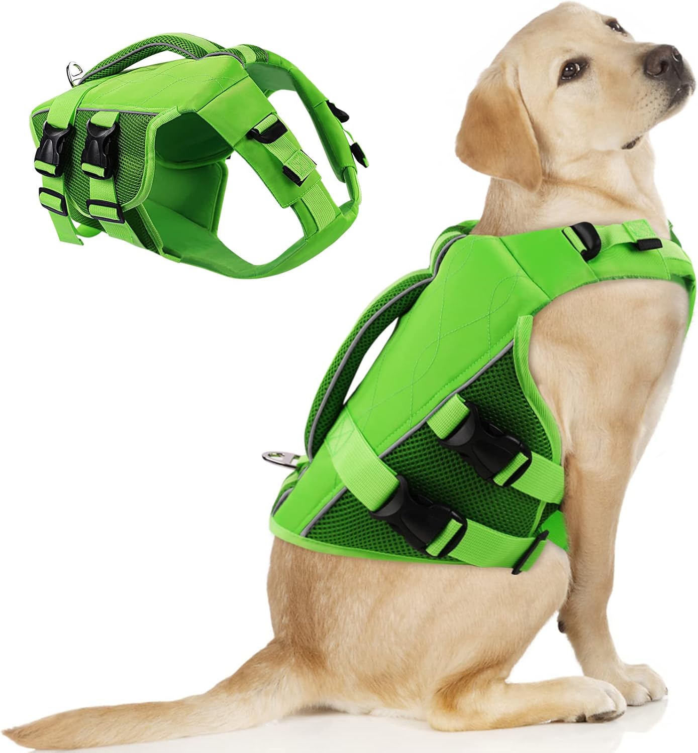 ASENKU Dog Life Jacket for Swimming & Boating Safety Vest