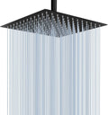 Rain Shower Head 12ft Black - Powerful High Flow Ceiling or Wall Mount